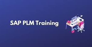Arena PLM online training